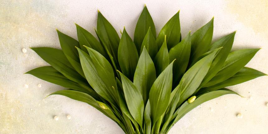 “L�p�sel�nyben az eg�szs�g�nk�rt” Medvehagyma-,  �s Tavaszi Eg�szs�gnap