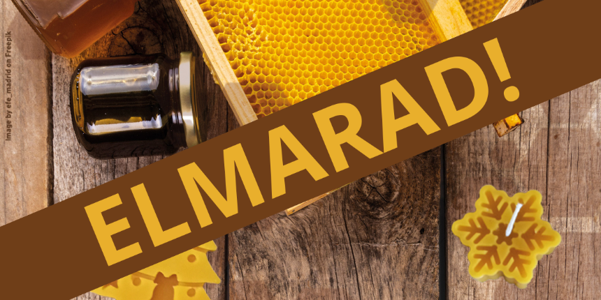 Karcsonyi mhviasz workshop