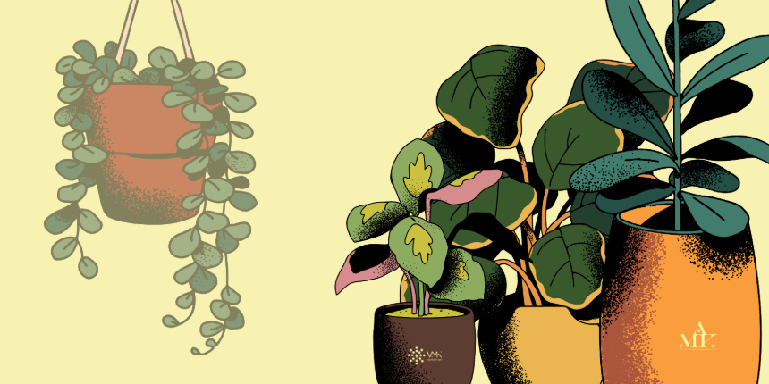 Szoban�v�ny csere-bere