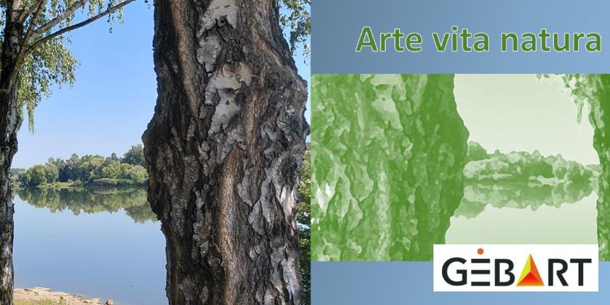 XXXII. GbArt Zalaegerszegi Nemzetkzi Mvsztelep Arte vita natura cm zrkilltsnak megnyitja