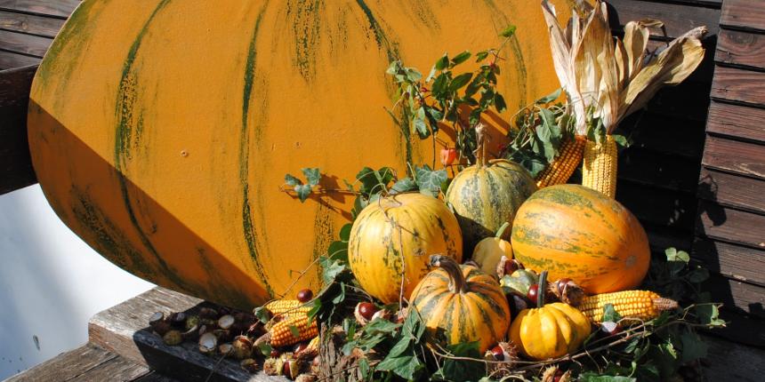 szi Nyitott Mhelygalrik Napja